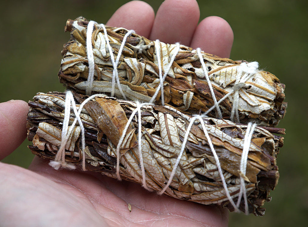 Two dried white sage smudge sticks wrapped in white string, held in a person's hand against a blurred green outdoor background.
