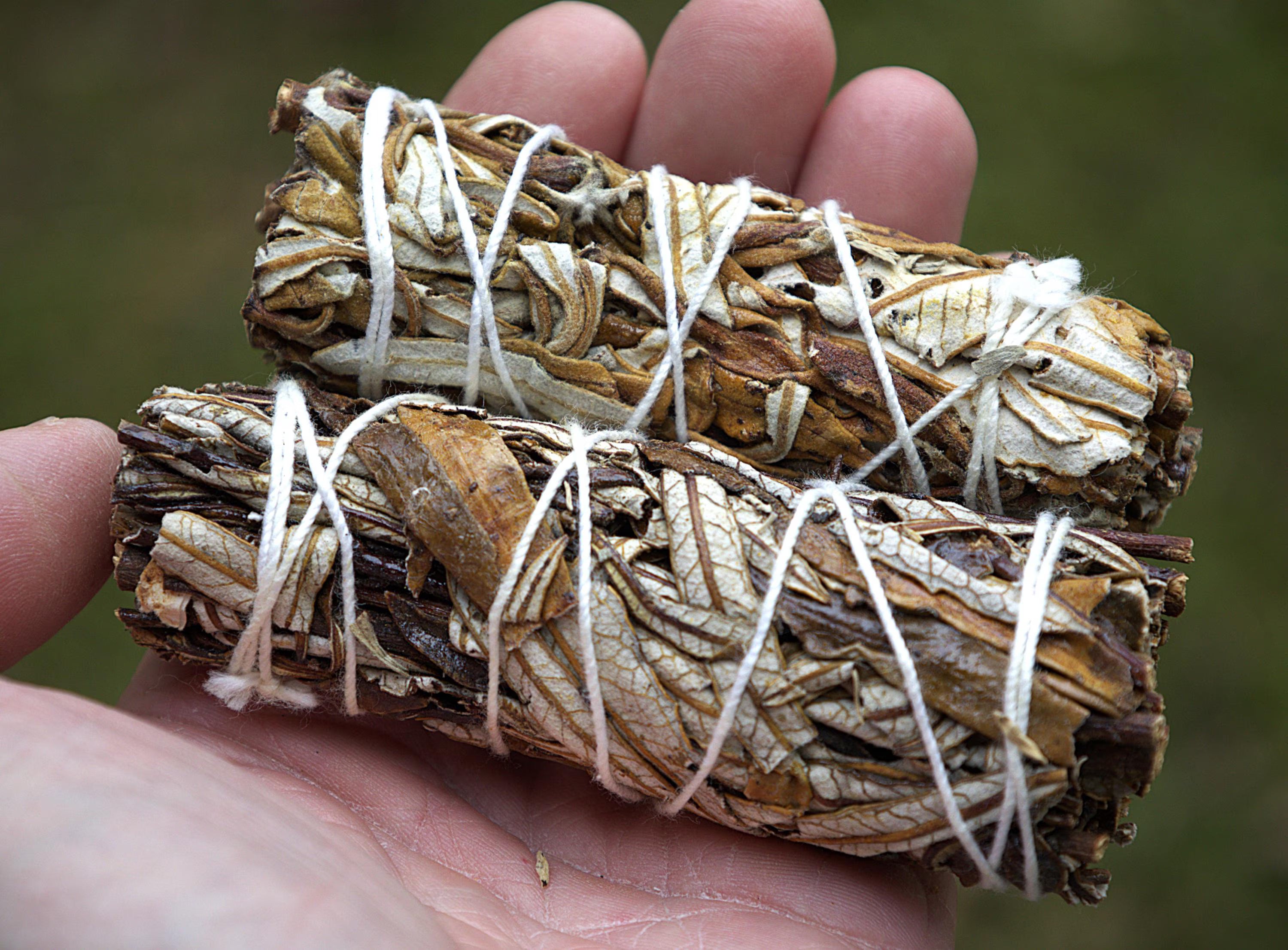 Two dried white sage smudge sticks wrapped in white string, held in a person's hand against a blurred green outdoor background.
