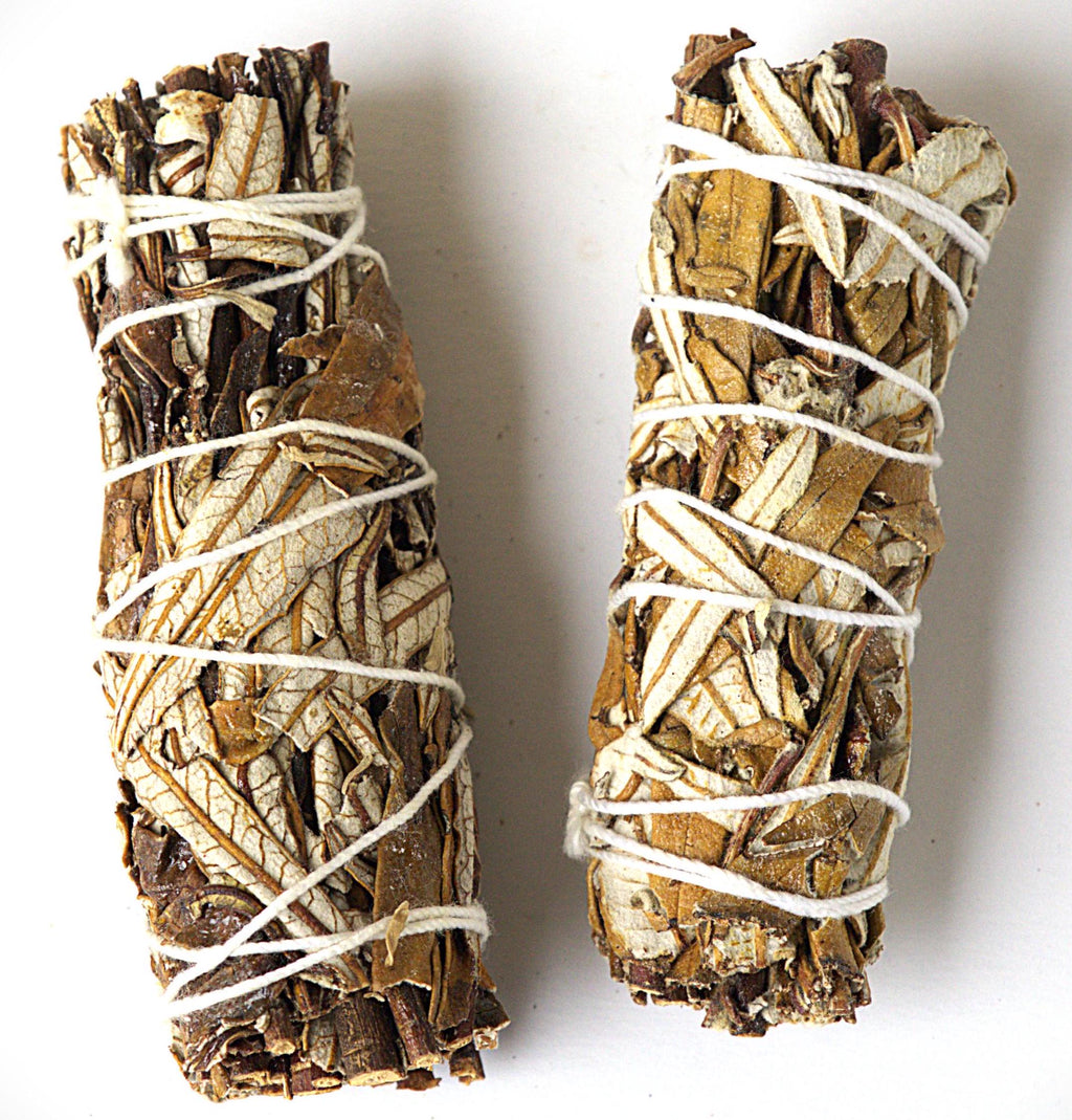 Two dried white sage smudge bundles wrapped in white string, displayed vertically on a plain white background.
