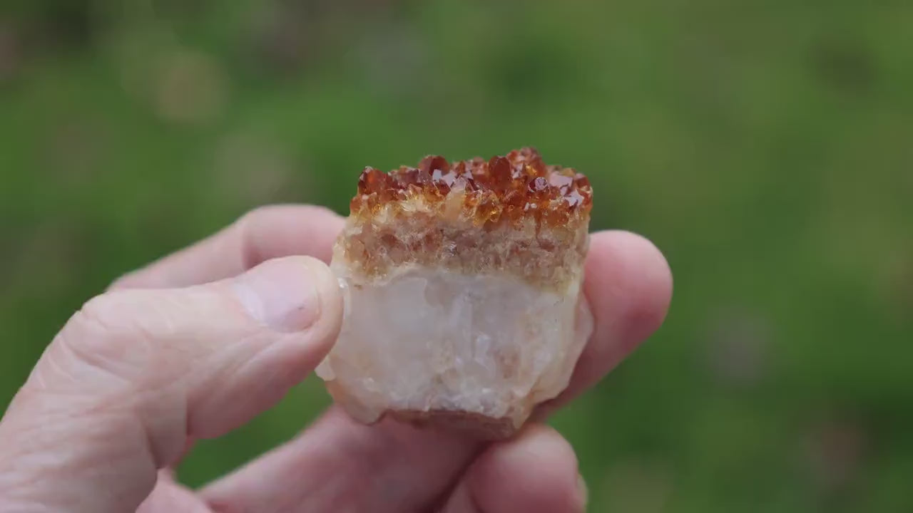 Natural Citrine Crystal Cluster: Authentic Geode for Meditation